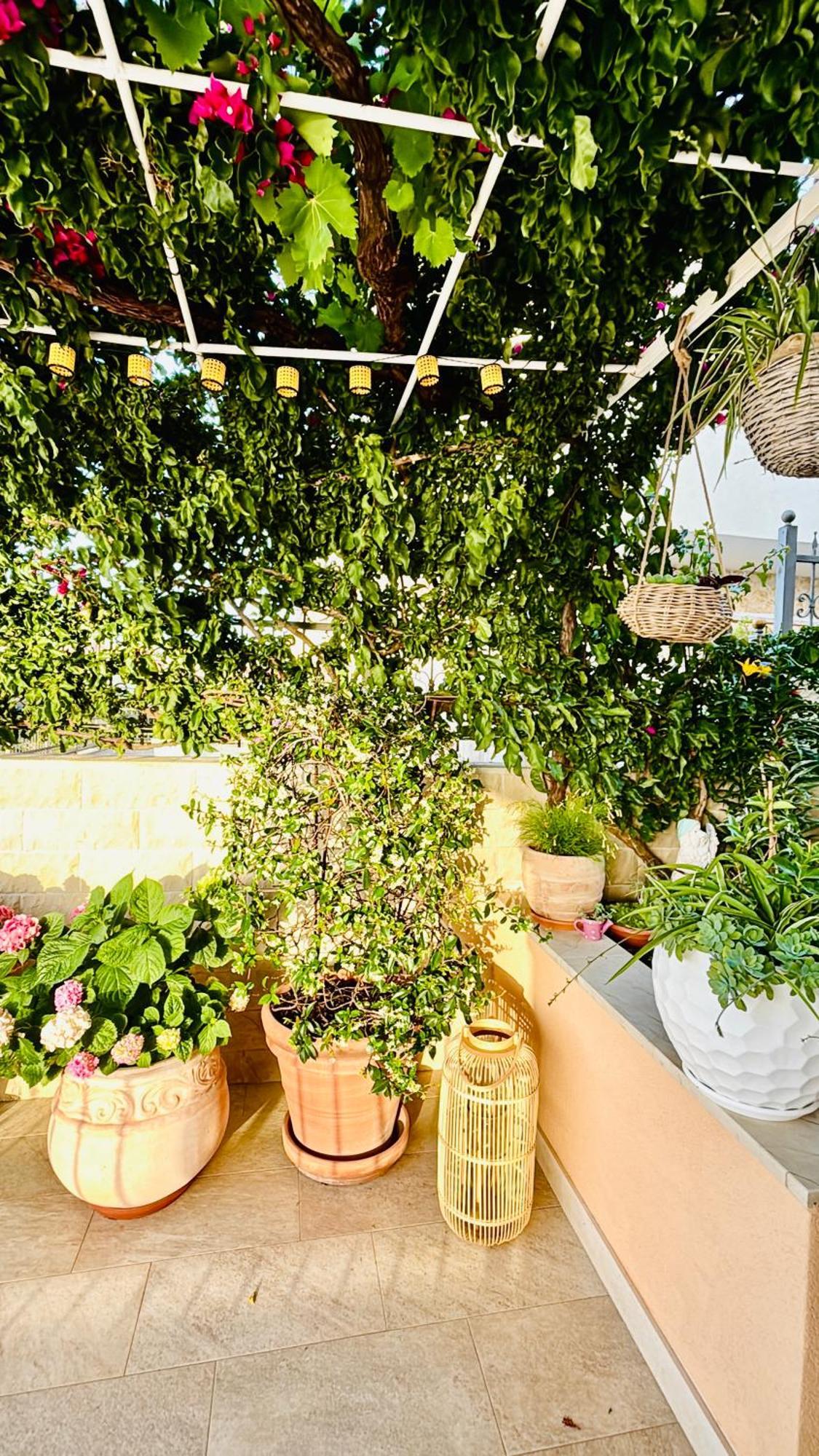 Apartment Sunny Elza 2 Hvar Town Dış mekan fotoğraf